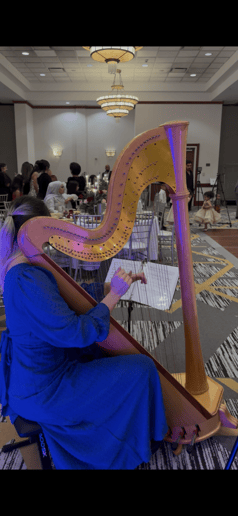 Gallery photo 3 of Arfa Strings