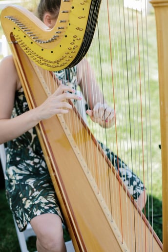 Gallery photo 6 of Arfa Strings