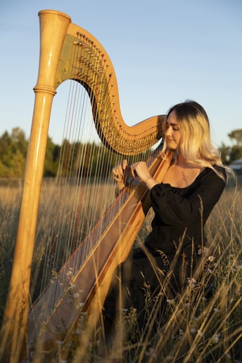 Gallery photo 1 of Arfa Strings