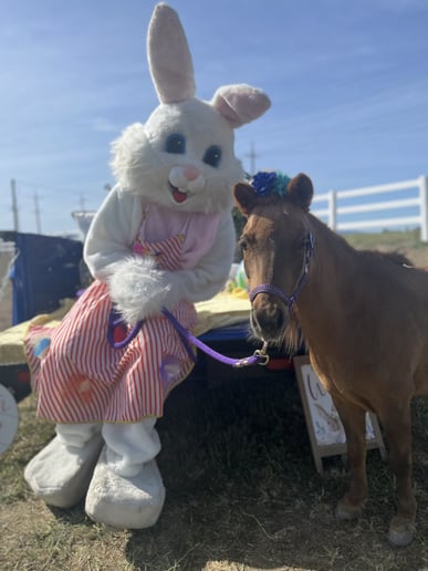 Gallery photo 4 of Pocket Size Pony Rides