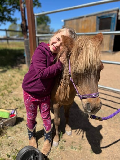Gallery photo 5 of Pocket Size Pony Rides