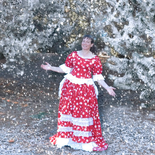 Gallery photo 2 of Betsy Ross (Also Magician & Poet Amy)