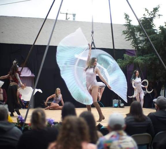 Gallery photo 2 of Poisnivy Circus