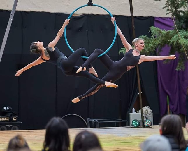 Gallery photo 5 of Poisnivy Circus