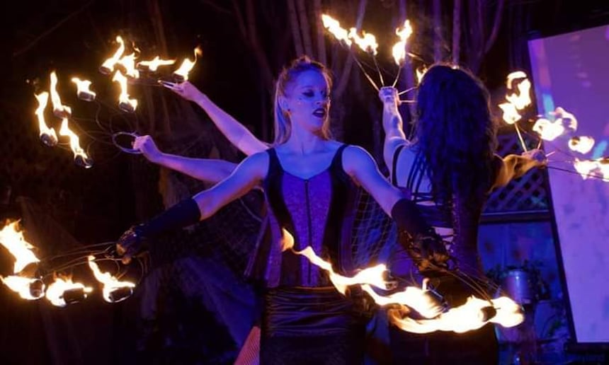 Gallery photo 6 of Poisnivy Circus