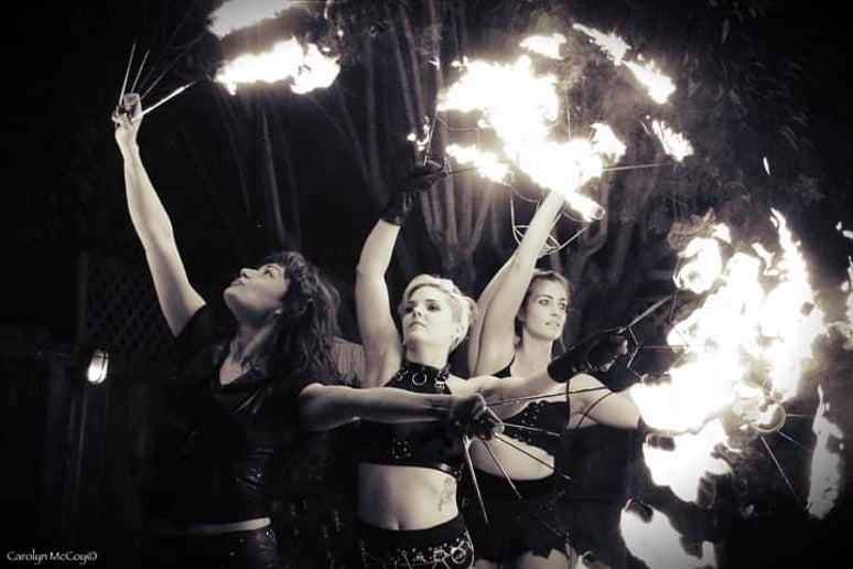 Gallery photo 7 of Poisnivy Circus
