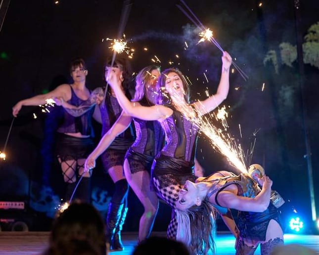 Gallery photo 3 of Poisnivy Circus