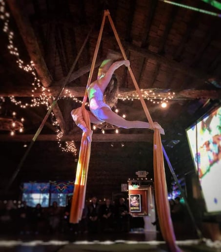 Gallery photo 8 of Poisnivy Circus
