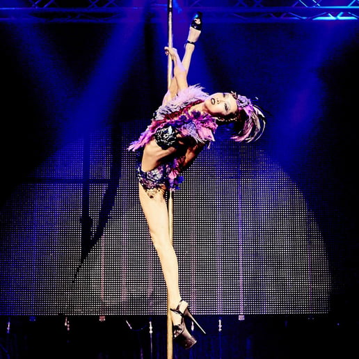 Gallery photo 3 of Pole Art Performance