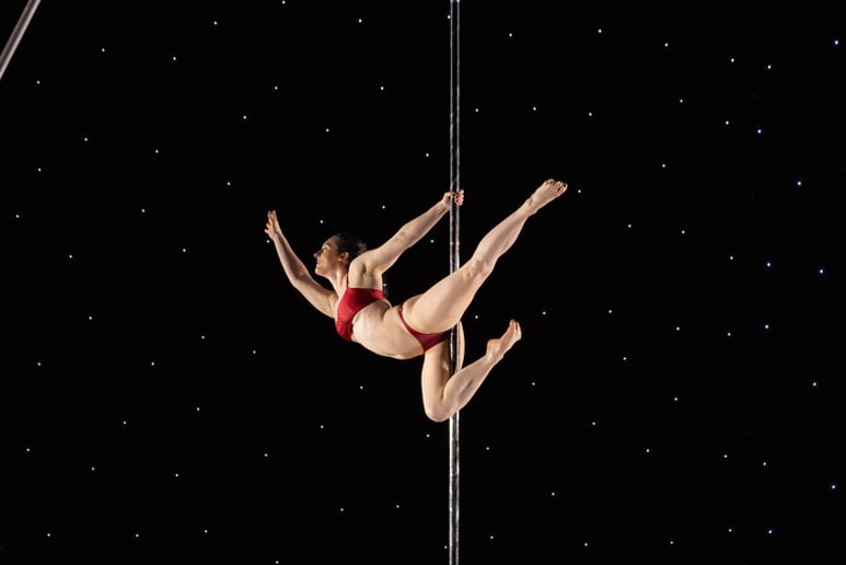 Gallery photo 5 of Sam In The Skye Pole Dancer and Aerial Artist