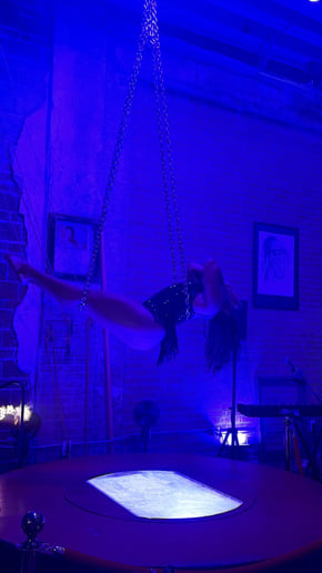 Gallery photo 9 of Aerial Erin