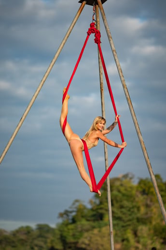 Gallery photo 5 of Polescilla