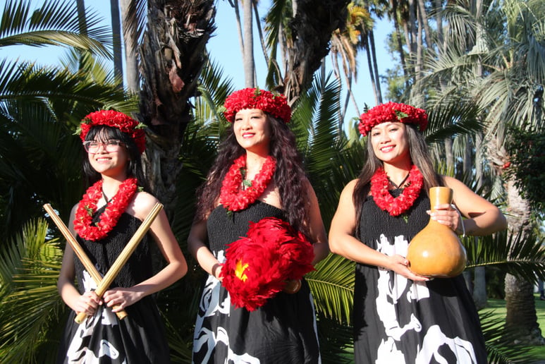 Gallery photo 2 of Electric Luau Polynesian Dancer‘s