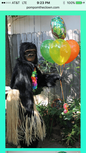 Gallery photo 6 of Pom Pom the Clown
