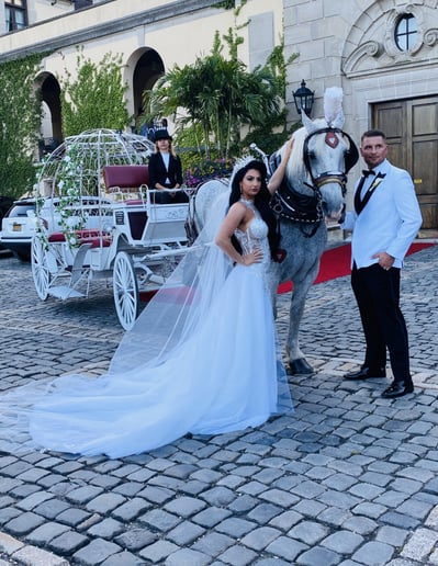 Gallery photo 8 of Ponies Will Travel - Pony Parties