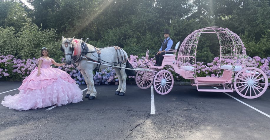 Gallery photo 10 of Ponies Will Travel - Pony Parties