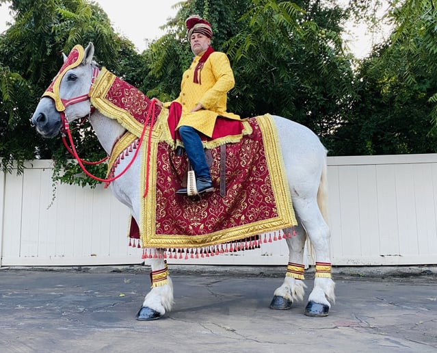 Gallery photo 12 of Ponies Will Travel - Pony Parties