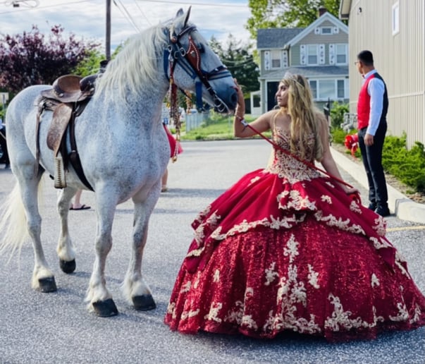 Gallery photo 13 of Ponies Will Travel - Pony Parties