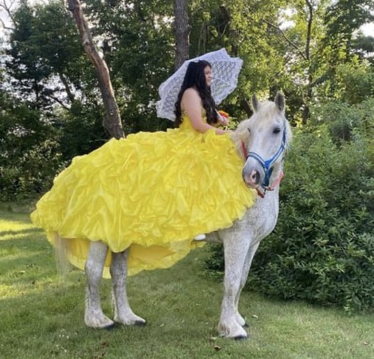Gallery photo 14 of Ponies Will Travel - Pony Parties