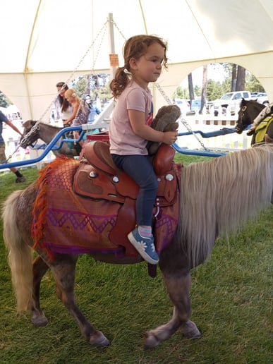 Gallery photo 2 of Pony Go Round