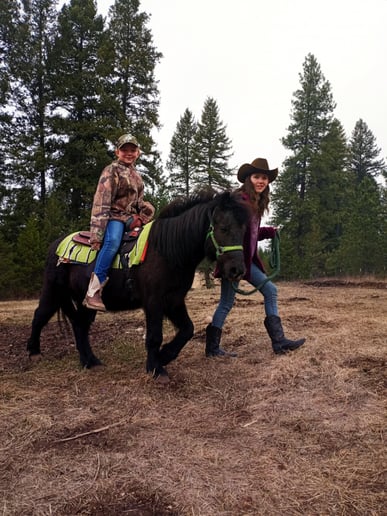 Gallery photo 5 of Pony Go Round