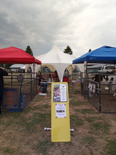 Gallery photo 7 of Pony Go Round