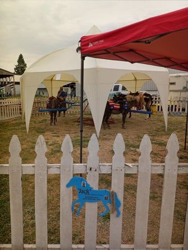Gallery photo 9 of Pony Go Round