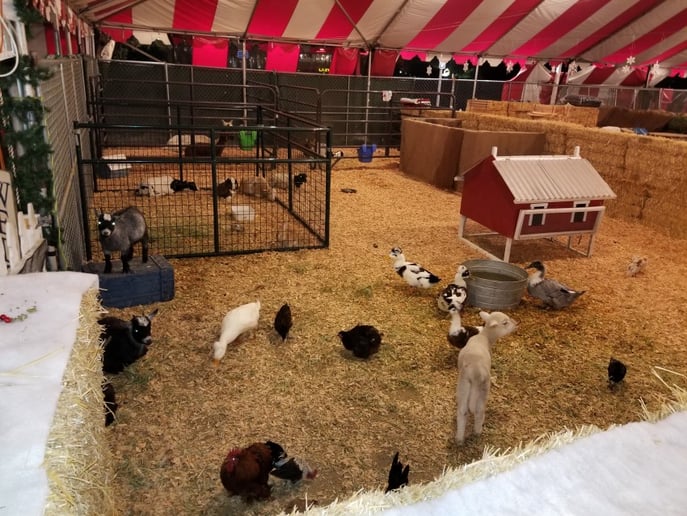 Gallery photo 1 of Barn Yard Buddies