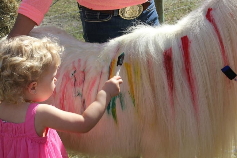 Gallery photo 1 of Pony Tales LLC