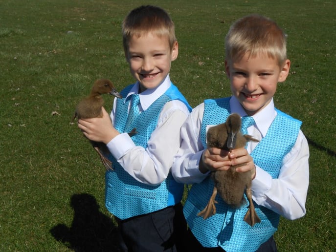 Gallery photo 3 of Pony Time Ranch & Petting Zoo
