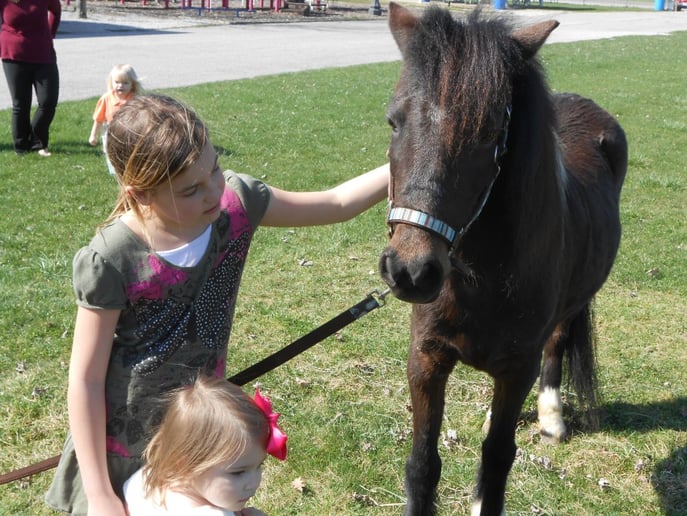 Gallery photo 4 of Pony Time Ranch & Petting Zoo