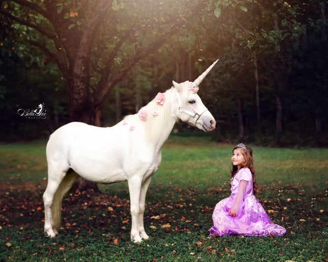 Gallery photo 8 of Pony Time Ranch & Petting Zoo