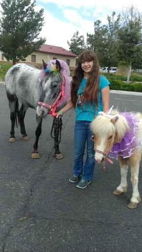 Gallery photo 6 of Ponyland Pony Parties and Petting Zoos