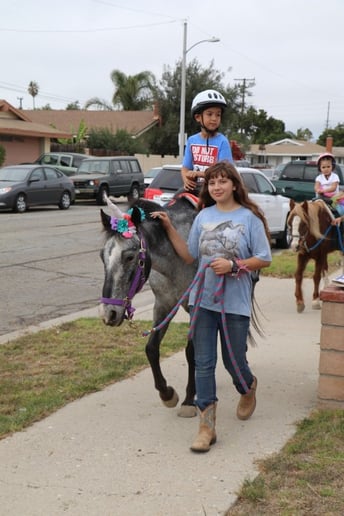 Gallery photo 10 of Ponyland Pony Parties and Petting Zoos