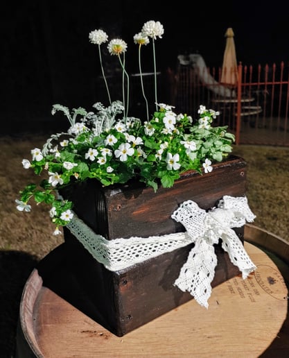 Gallery photo 1 of Pots and Posies