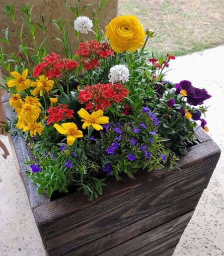 Gallery photo 2 of Pots and Posies