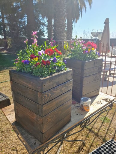 Gallery photo 5 of Pots and Posies