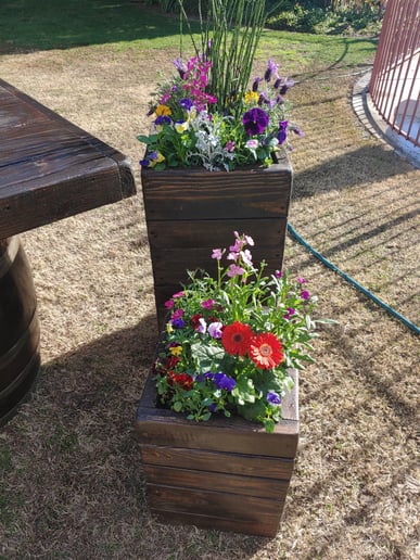 Gallery photo 3 of Pots and Posies