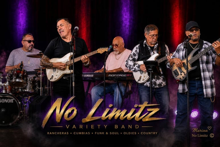 Gallery photo 10 of No Limitz