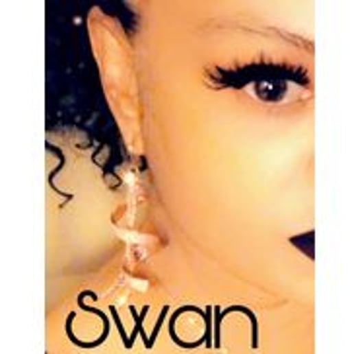 Gallery photo 2 of Swan EnFlyte