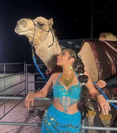 Gallery photo 2 of Earth and Sun Camels