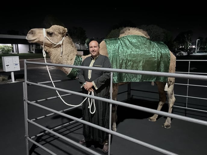 Gallery photo 3 of Earth and Sun Camels