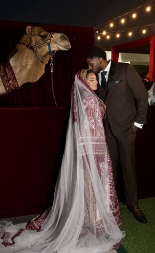 Gallery photo 6 of Earth and Sun Camels