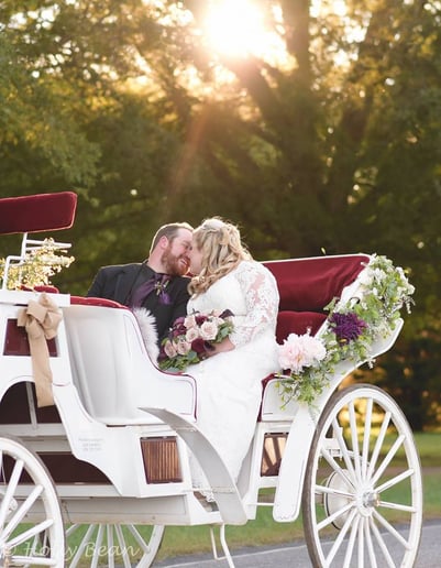 Gallery photo 5 of Priceless Carriage Company