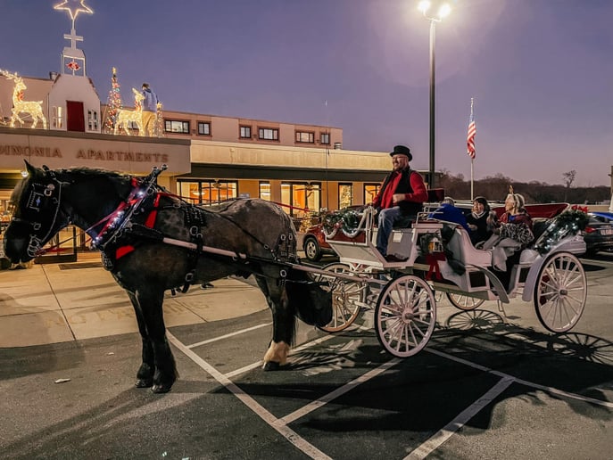 Gallery photo 9 of Priceless Carriage Company
