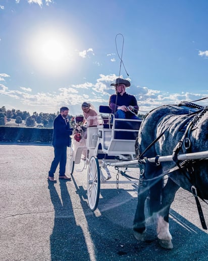 Gallery photo 7 of Priceless Carriage Company