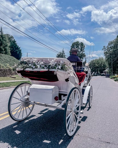 Gallery photo 3 of Priceless Carriage Company