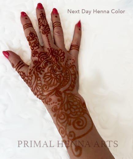 Gallery photo 9 of Primal Henna Arts