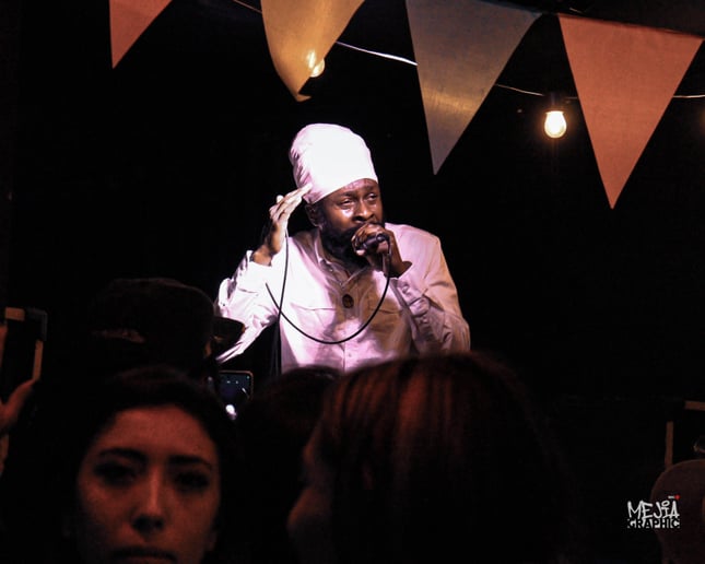 Gallery photo 3 of Prince Pankhi Roots Reggae Artist