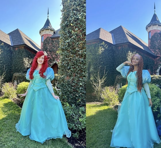 Gallery photo 3 of Princess Entertainment SWFL